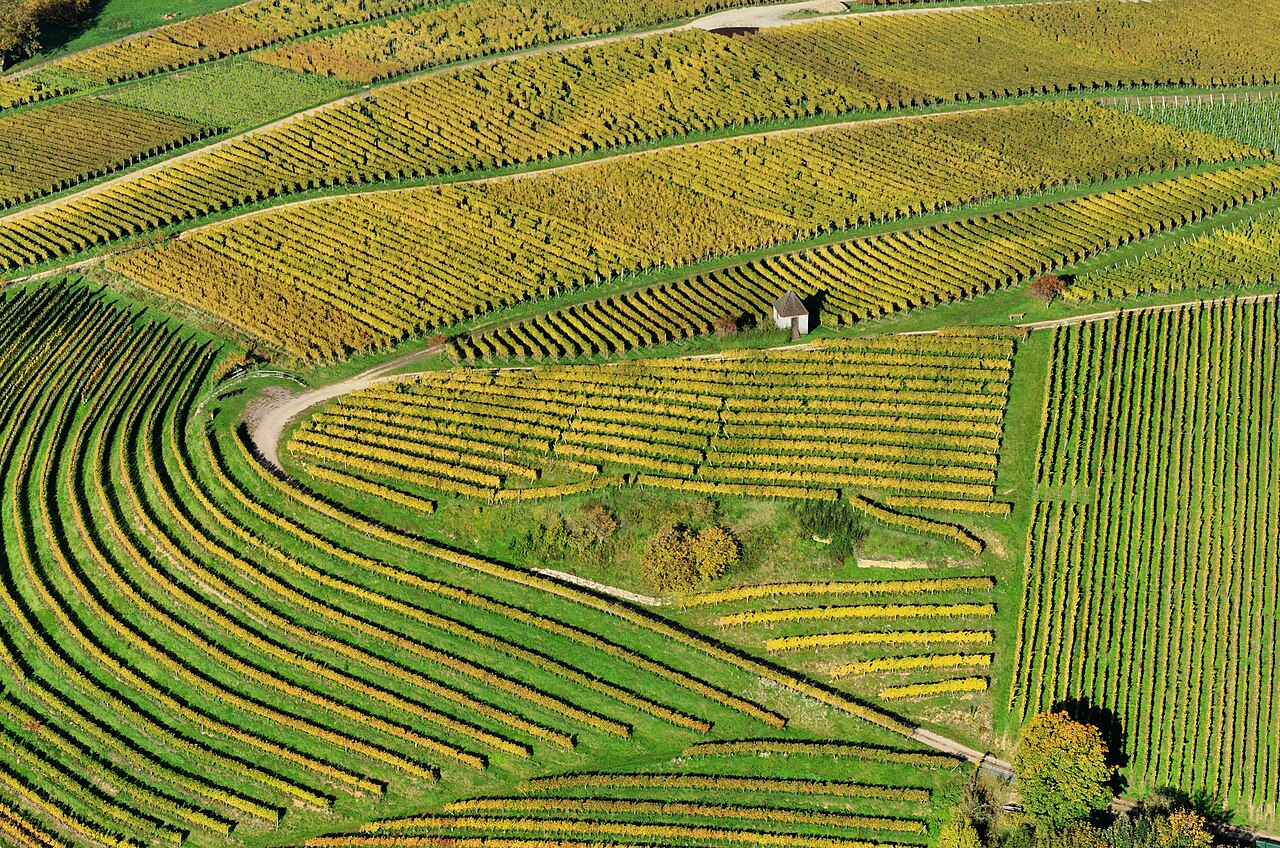 Markgräflerland – vineyards and countryside