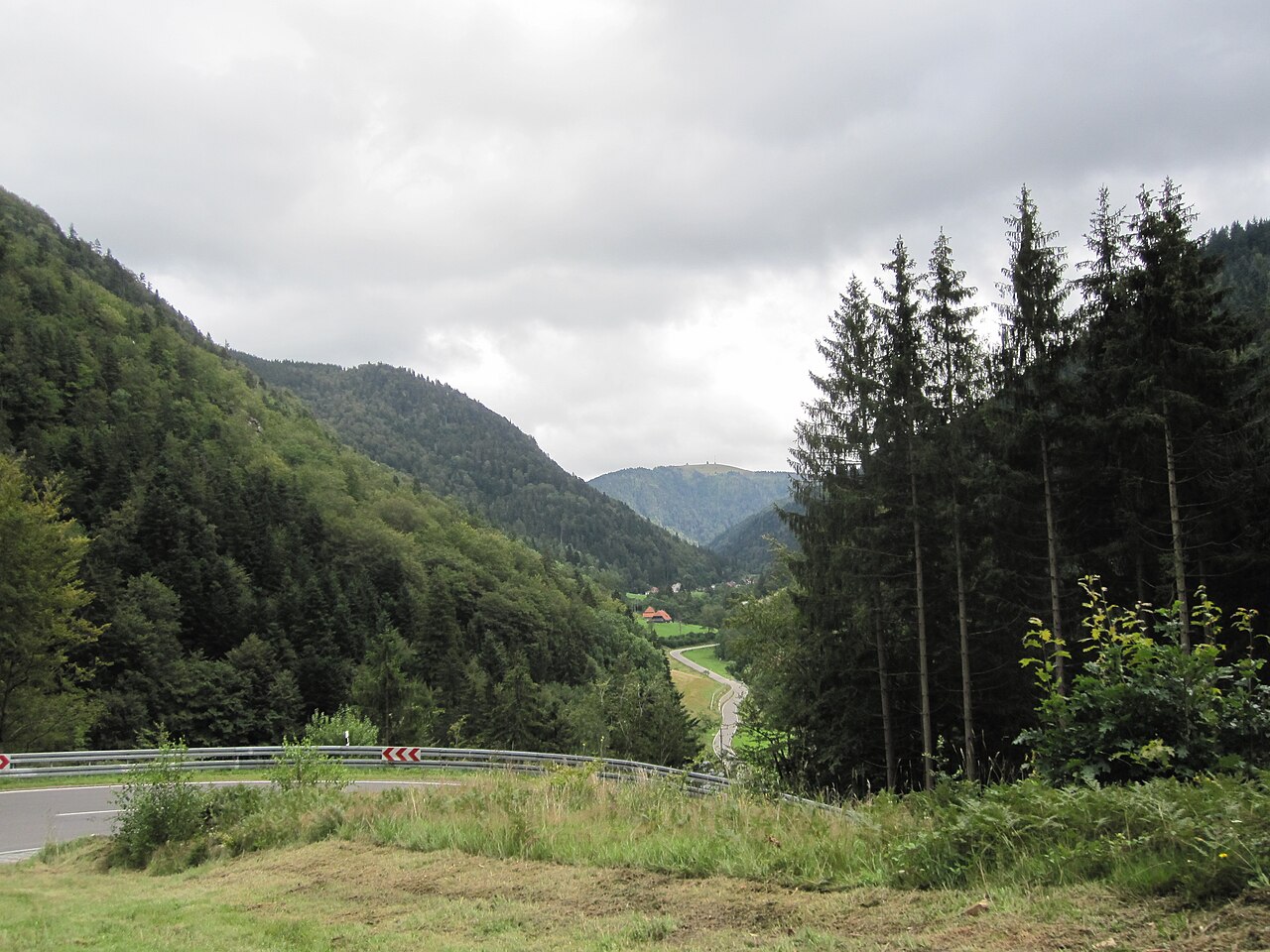 Black Forest – nature and hiking