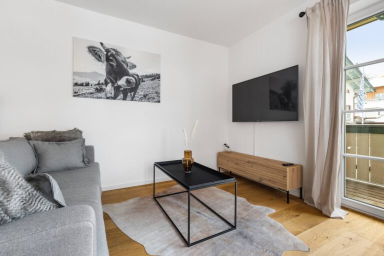 Schlafcouch & TV im Wohnzimmer