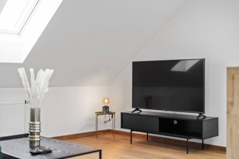 TV